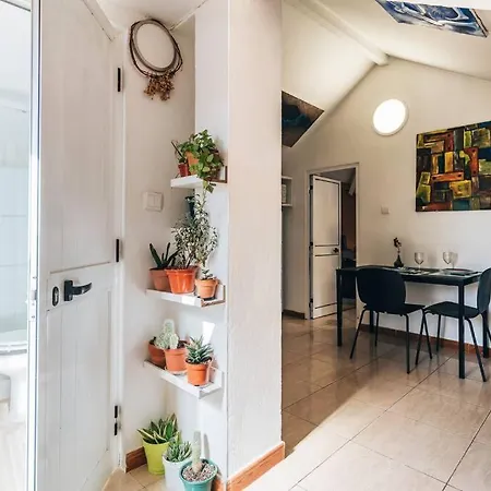 Cordoaria Douro View Apartment Porto
