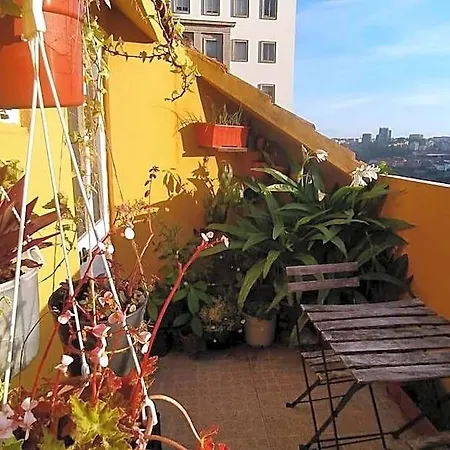 Cordoaria Douro View Appartamento Oporto